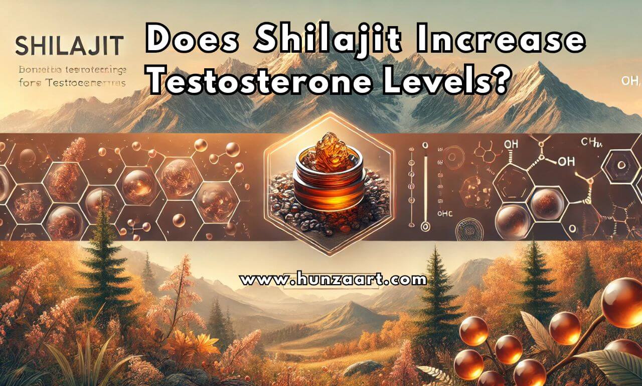 Does Shilajit Increase Testosterone Levels