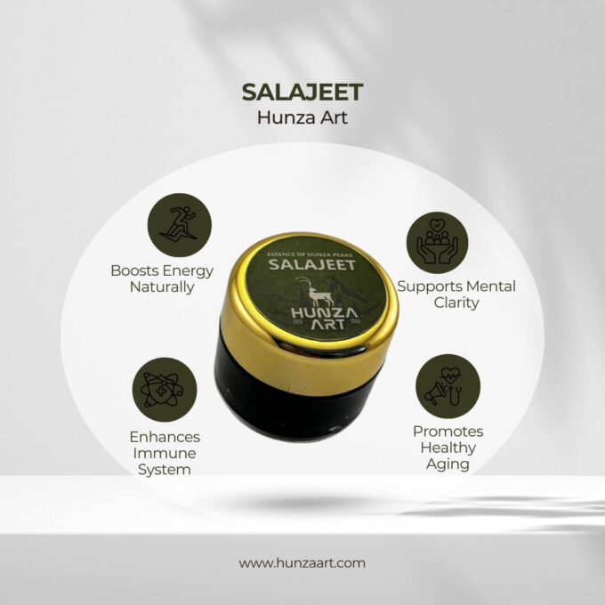 Shilajit Benefits Infographic - Hunza Art