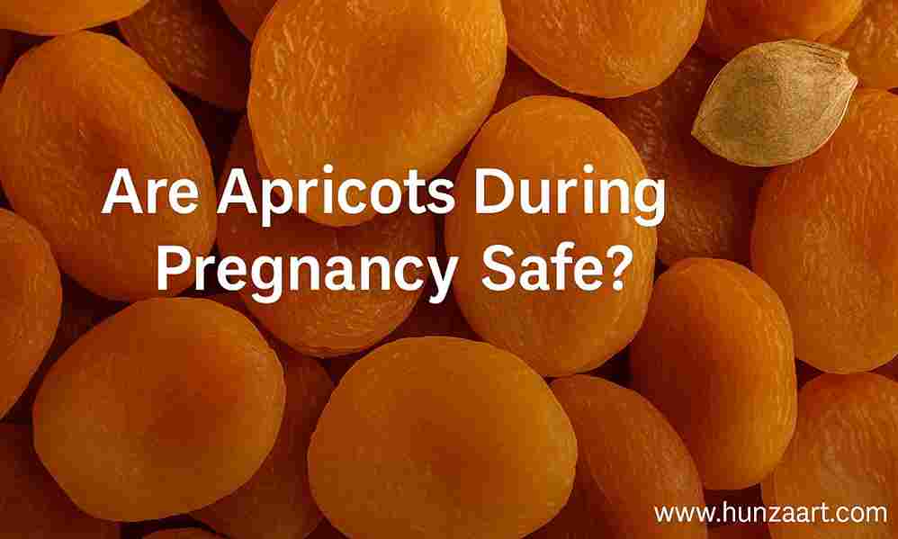 are apricots safe during pregnancy_11zon