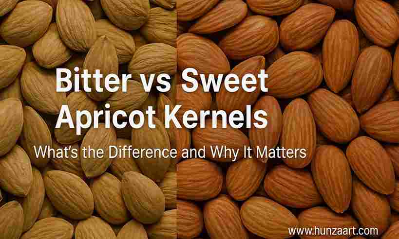 bitter vs sweet apricot kernels