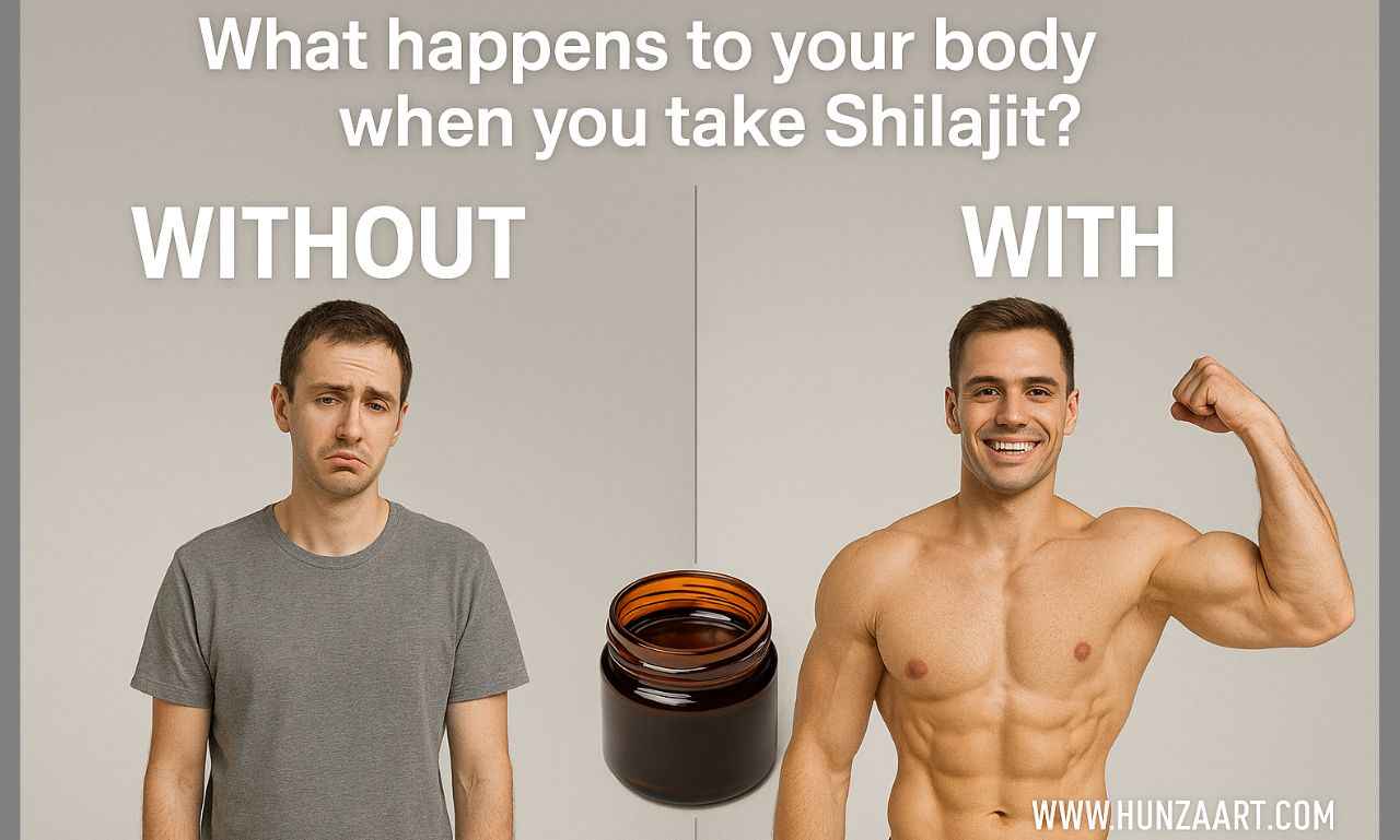 what-happens-to-your-body-when-you-take-shilajit